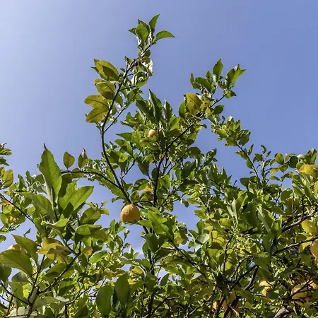 Frühstückspension Pampalone - In Dimora Storica Trapani
