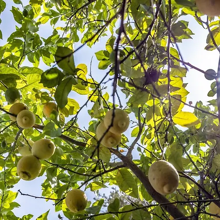 Pampalone - In Dimora Storica Trapani