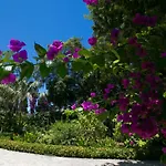 Pampalone - In Dimora Storica Bed and breakfast