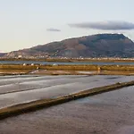 Pampalone - In Dimora Storica Bed and breakfast