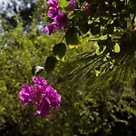 Bed and breakfast Pampalone - In Dimora Storica Trapani