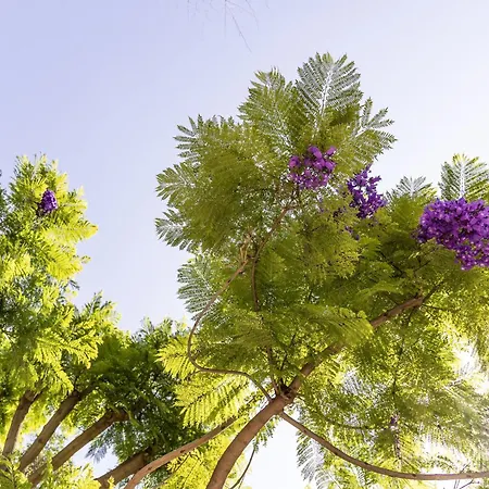 Pampalone - In Dimora Storica Bed & Breakfast Trapani