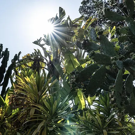 Pampalone - In Dimora Storica 3*