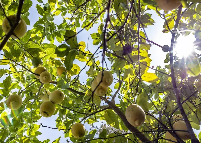 Pampalone - In Dimora Storica Trapani